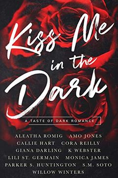 Kiss Me in the Dark book cover