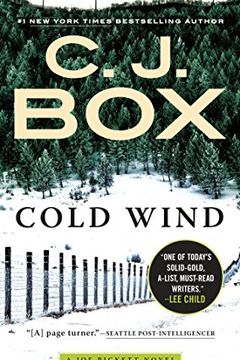 Cold Wind book cover