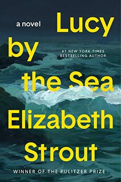 Lucy by the Sea book cover