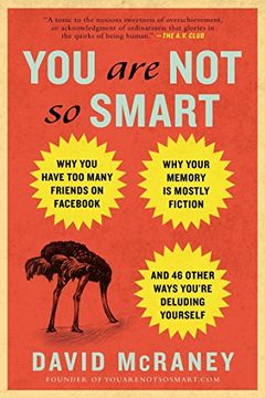 You Are Not So Smart book cover