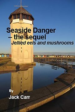 Seaside Danger – the sequel book cover