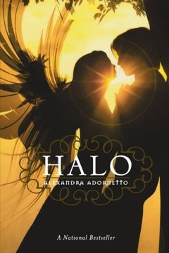 Halo book cover