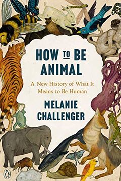 How to Be Animal book cover