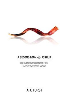 A Second Look @ Joshua book cover