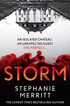 Storm book cover