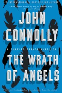 The Wrath of Angels book cover