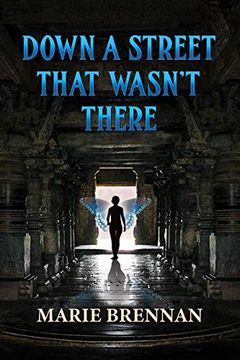 Down a Street That Wasn't There (Collected Short Fiction of Marie Brennan) book cover