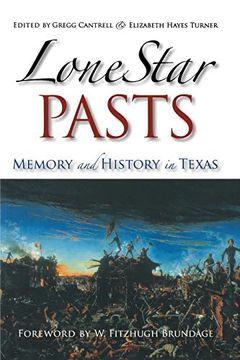 Lone Star Pasts book cover