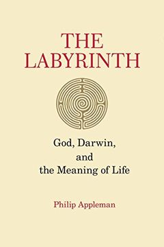 The Labyrinth book cover
