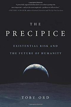 The Precipice book cover