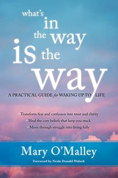 What's in the Way Is the Way book cover