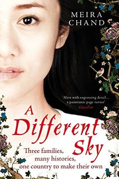 A Different Sky book cover