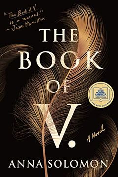 The Book of V. book cover