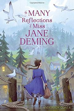 The Many Reflections of Miss Jane Deming book cover