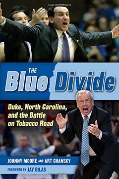 The Blue Divide book cover