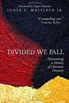 Divided We Fall