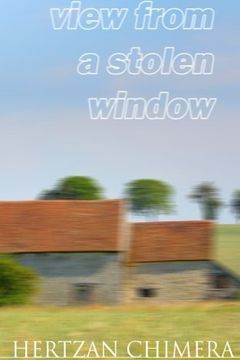 View from a Stolen Window book cover