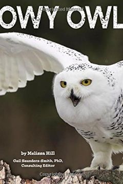 Snowy Owls book cover