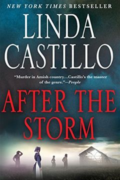 After the Storm book cover