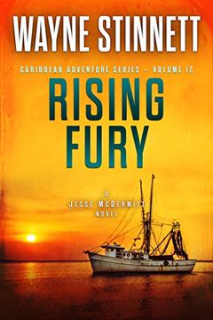 Rising Fury book cover