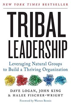 Tribal Leadership book cover