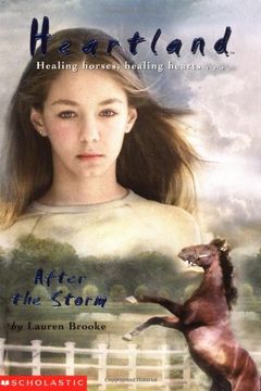 After the Storm book cover