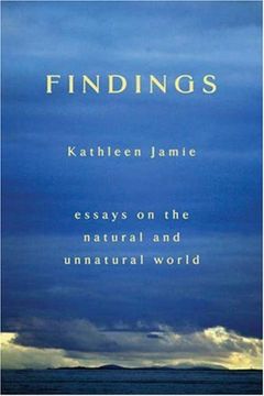Findings book cover