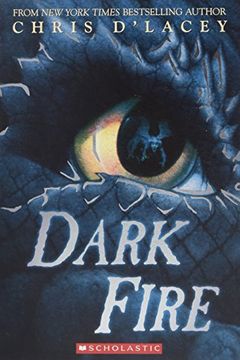Dark Fire book cover