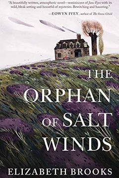 The Orphan of Salt Winds book cover