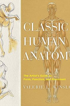 Top 10 Human Anatomy Books For Artists