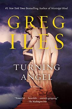 Turning Angel book cover