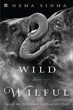 Wild And Wilful