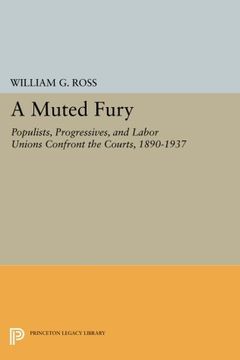 A Muted Fury book cover
