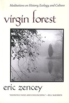 Virgin Forest book cover