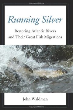 Running Silver book cover