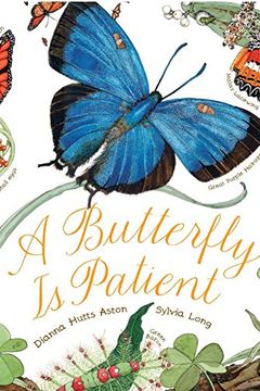 A Butterfly Is Patient book cover