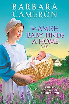 The Amish Baby Finds a Home book cover