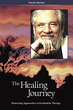 The Healing Journey book cover