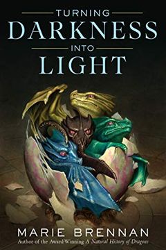 Turning Darkness Into Light book cover