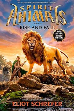 Rise and Fall book cover