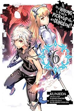 Is It Wrong to Try to Pick Up Girls in a Dungeon? Vol. 6 book cover