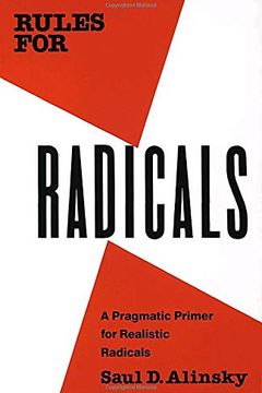 Rules for Radicals book cover