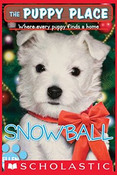 Snowball book cover