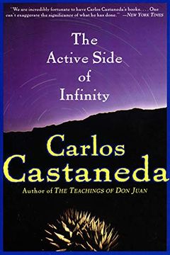 The Active Side of Infinity book cover