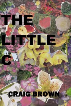 The Little C book cover
