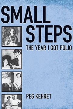 Small Steps book cover