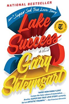 Lake Success book cover