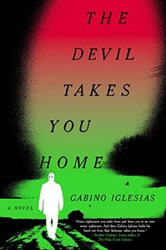 The Devil Takes You Home book cover