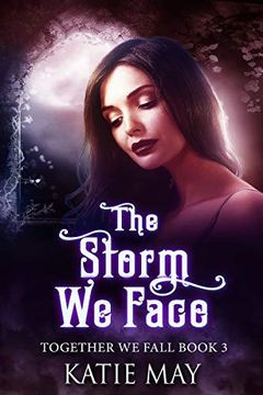 The Storm We Face book cover
