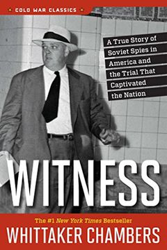 Witness book cover